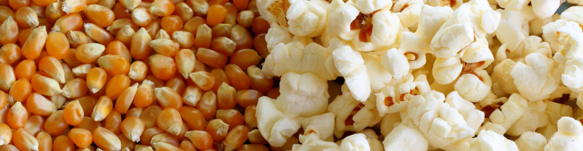 An image showing corn kernels on one side and popped popcorn on the other side.